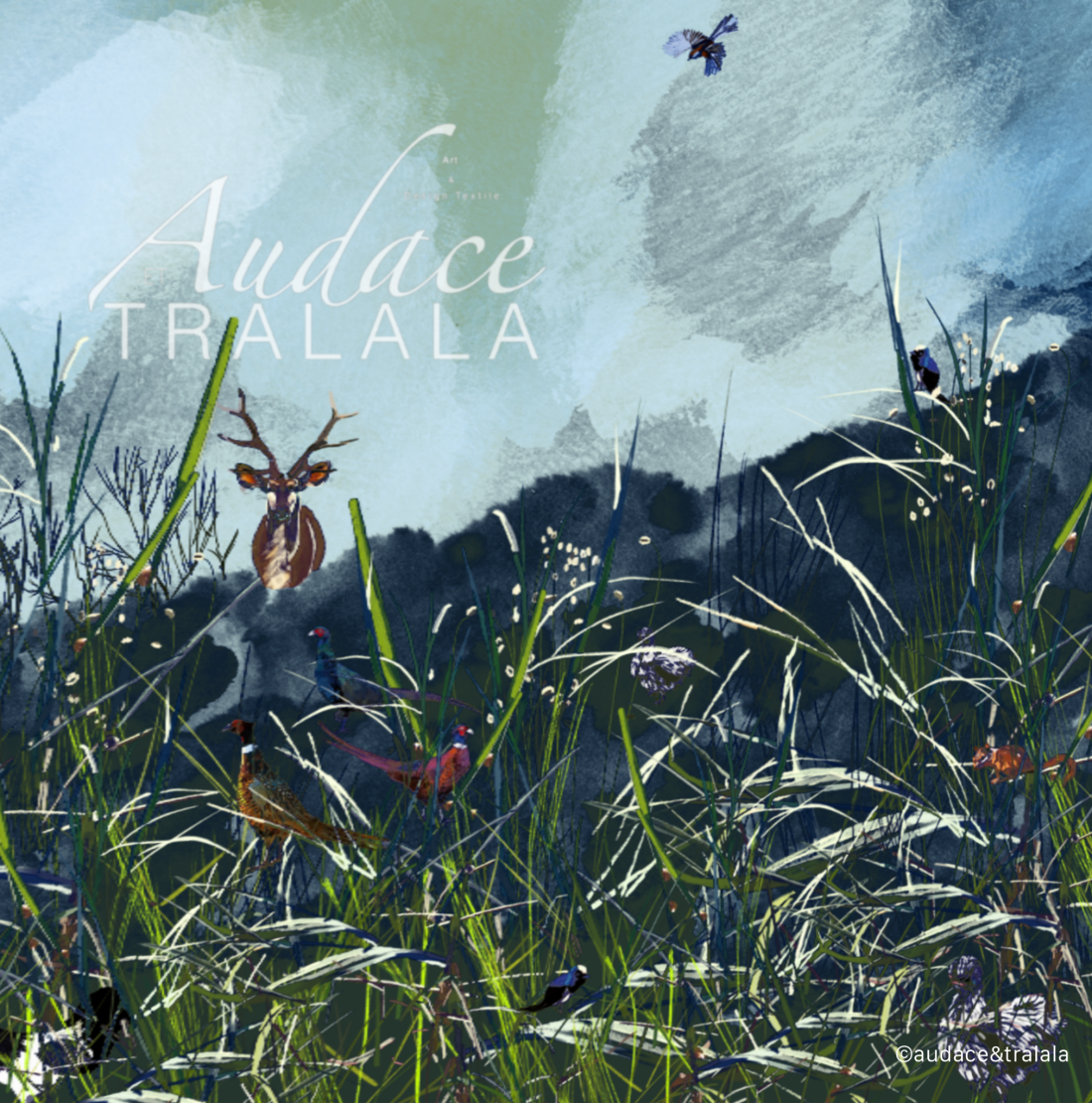 © Audace & Tralala - Arrêt sur image